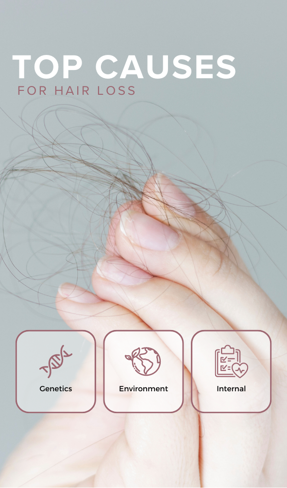 Hand holding a clump of hair with three icons below labeled Genetics, Environment, and Internal, depicting the top causes of hair loss.