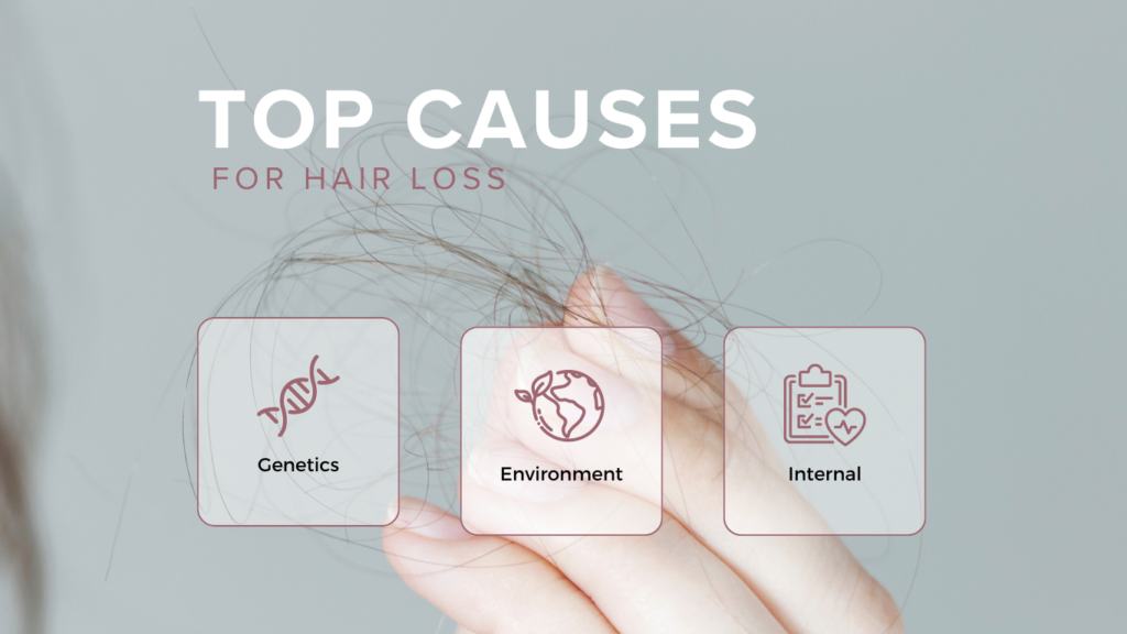 Hand holding a clump of hair with three icons below labeled Genetics, Environment, and Internal, depicting the top causes of hair loss.